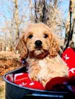 processed/86b23c7d-aec7-4b1d-9918-0d2dcf0b96cf/listing/d078785b-ecd8-41c7-9dfa-94802910b08e/cb3a6aa2-a767-49f2-8ca1-26539b7ecea5