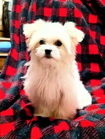 processed/86b23c7d-aec7-4b1d-9918-0d2dcf0b96cf/listing/f820db2b-8c13-44bc-9cca-a984a1995c7d/23e32e0f-950e-40f0-a32a-7f4b13c13716