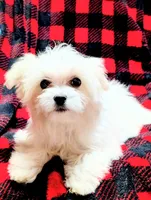 processed/86b23c7d-aec7-4b1d-9918-0d2dcf0b96cf/listing/f820db2b-8c13-44bc-9cca-a984a1995c7d/613aea2d-e9af-4bd7-9db0-2ec30e3b886d