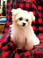 processed/86b23c7d-aec7-4b1d-9918-0d2dcf0b96cf/listing/f820db2b-8c13-44bc-9cca-a984a1995c7d/a1b65f59-eaf5-4f40-a064-1d608df16ea4