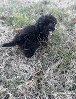 processed/86c1bc65-9c10-41d3-91c6-4e3d71790742/listing/06366eb1-3e42-49a7-a425-0efd15562cd1/94fbd2e7-8196-43ec-a08d-a514be9dfcef