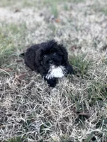 processed/86c1bc65-9c10-41d3-91c6-4e3d71790742/listing/06366eb1-3e42-49a7-a425-0efd15562cd1/a3c11733-03cd-456b-8aaf-448418382585