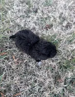 processed/86c1bc65-9c10-41d3-91c6-4e3d71790742/listing/06366eb1-3e42-49a7-a425-0efd15562cd1/c0b0fb74-9a08-4efb-a3c5-b4fd39241558