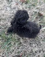 processed/86c1bc65-9c10-41d3-91c6-4e3d71790742/listing/06366eb1-3e42-49a7-a425-0efd15562cd1/e6681a1c-ace6-4961-8b23-c8563a50d046