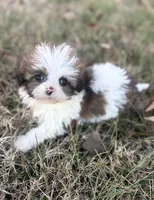 processed/86c1bc65-9c10-41d3-91c6-4e3d71790742/listing/5e38cf43-0ac5-47ef-8521-da65c8126be8/c8a4619b-659e-4869-9e6a-ae4a5ef08133