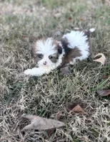 processed/86c1bc65-9c10-41d3-91c6-4e3d71790742/listing/5e38cf43-0ac5-47ef-8521-da65c8126be8/e59418bd-7a80-4275-bddc-f5597424a069