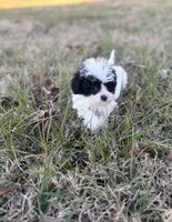 processed/86c1bc65-9c10-41d3-91c6-4e3d71790742/listing/b667c50b-ba72-43cd-8aab-e406cfd3ee25/ae32c652-ec6e-431d-b90d-d5822251052f