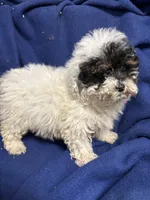 processed/86c1bc65-9c10-41d3-91c6-4e3d71790742/listing/bff9d1ba-24e7-4a44-a0d3-98f6bd3a56d0/20e01e74-6a16-4bcb-a9ac-8548b91df3f7