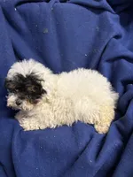 processed/86c1bc65-9c10-41d3-91c6-4e3d71790742/listing/bff9d1ba-24e7-4a44-a0d3-98f6bd3a56d0/6280a33b-34a7-48ce-bbb1-f30bc9f10759