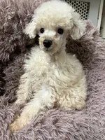 processed/86c1bc65-9c10-41d3-91c6-4e3d71790742/listing/ce53e6dc-c9d1-47ee-899a-9e68696f4653/7c6b81ca-8242-4aba-8683-14f92121b21a