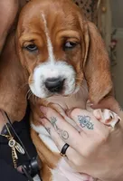 processed/86c2bc6a-87a5-4436-ab77-14229bf9d6c2/listing/7c398903-e167-4565-bb36-74e4439b0859/84a4b7fa-4d70-43ea-9281-ffc9ce9dd17b