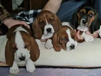 processed/86c2bc6a-87a5-4436-ab77-14229bf9d6c2/listing/7c398903-e167-4565-bb36-74e4439b0859/d22803e5-78ff-444b-8712-f5502cfbfd49