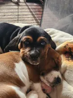 processed/86c2bc6a-87a5-4436-ab77-14229bf9d6c2/listing/97d631c8-4c87-43c0-bfba-ed02d5ce816c/1840fde3-9c8a-412a-b6b9-f5038b343989