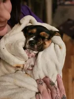 processed/86c2bc6a-87a5-4436-ab77-14229bf9d6c2/listing/97d631c8-4c87-43c0-bfba-ed02d5ce816c/e3b4eee6-c666-4c94-92b7-a13fe07dea65