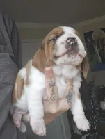 processed/86c2bc6a-87a5-4436-ab77-14229bf9d6c2/listing/9d5e6671-f893-4d0e-b1f2-7c0371ece0a3/05445c53-c30b-467a-b658-d4e67c7e9846