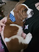 processed/86c2bc6a-87a5-4436-ab77-14229bf9d6c2/listing/9d5e6671-f893-4d0e-b1f2-7c0371ece0a3/320c766a-c574-4d0f-bd90-e8ef4edd3480