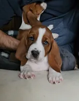 processed/86c2bc6a-87a5-4436-ab77-14229bf9d6c2/listing/9d5e6671-f893-4d0e-b1f2-7c0371ece0a3/83ebfe85-000d-4444-a85d-eeb924294a4f