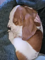 processed/86c2bc6a-87a5-4436-ab77-14229bf9d6c2/listing/c48c771b-b78d-4a62-9511-fac63fe73414/1a87cbaf-e021-490d-9fa4-05c99a660944