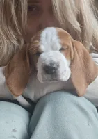 processed/86c2bc6a-87a5-4436-ab77-14229bf9d6c2/listing/c48c771b-b78d-4a62-9511-fac63fe73414/716ede1c-d2cd-4276-b8f2-8e080fbc6300