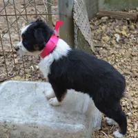 processed/86c3b0a0-8db5-44c2-bf33-7d8c20a88a03/facility/1561ffcc-fb55-4cb6-8d19-d1d997618290