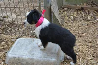 processed/86c3b0a0-8db5-44c2-bf33-7d8c20a88a03/facility/1561ffcc-fb55-4cb6-8d19-d1d997618290