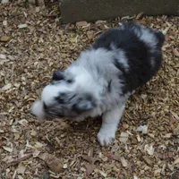 processed/86c3b0a0-8db5-44c2-bf33-7d8c20a88a03/facility/1f49d96b-1fa2-4669-9a16-47fb44d76d7e