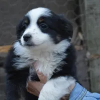 processed/86c3b0a0-8db5-44c2-bf33-7d8c20a88a03/facility/281c8d08-1417-466b-a3b4-ea4f45a00738