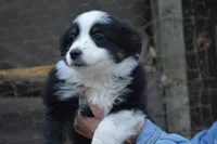 processed/86c3b0a0-8db5-44c2-bf33-7d8c20a88a03/facility/281c8d08-1417-466b-a3b4-ea4f45a00738