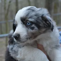 processed/86c3b0a0-8db5-44c2-bf33-7d8c20a88a03/facility/308a85dc-98b0-4187-99b4-fa30b22ba700