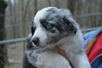 processed/86c3b0a0-8db5-44c2-bf33-7d8c20a88a03/facility/308a85dc-98b0-4187-99b4-fa30b22ba700