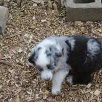 processed/86c3b0a0-8db5-44c2-bf33-7d8c20a88a03/facility/50ccb49a-9b14-4aae-9d42-2affd9419a10