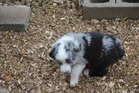 processed/86c3b0a0-8db5-44c2-bf33-7d8c20a88a03/facility/50ccb49a-9b14-4aae-9d42-2affd9419a10