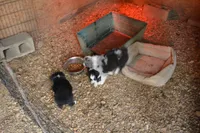 processed/86c3b0a0-8db5-44c2-bf33-7d8c20a88a03/facility/5f6bd135-e883-43ff-8ffd-4ad103b88b75