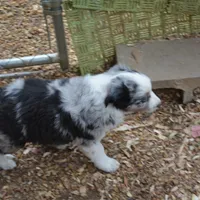 processed/86c3b0a0-8db5-44c2-bf33-7d8c20a88a03/facility/6fc72024-b82a-47e8-ab77-be75465556c9