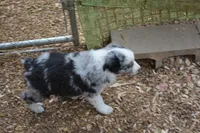 processed/86c3b0a0-8db5-44c2-bf33-7d8c20a88a03/facility/6fc72024-b82a-47e8-ab77-be75465556c9