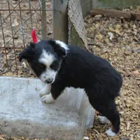 processed/86c3b0a0-8db5-44c2-bf33-7d8c20a88a03/facility/a5bff435-b1f6-4629-8d54-b66650f5ac24