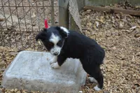 processed/86c3b0a0-8db5-44c2-bf33-7d8c20a88a03/facility/a5bff435-b1f6-4629-8d54-b66650f5ac24