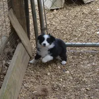 processed/86c3b0a0-8db5-44c2-bf33-7d8c20a88a03/facility/d4663e12-9265-460f-bde2-763bdaf5e8d0