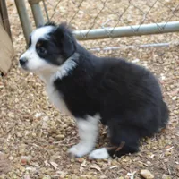 processed/86c3b0a0-8db5-44c2-bf33-7d8c20a88a03/facility/e5967ab3-d65f-464f-8468-0fd3804637da