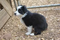 processed/86c3b0a0-8db5-44c2-bf33-7d8c20a88a03/facility/e5967ab3-d65f-464f-8468-0fd3804637da