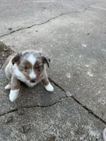 processed/86c3b0a0-8db5-44c2-bf33-7d8c20a88a03/listing/002dda96-f37f-429b-b604-32377f14f0cb/2604abaf-c258-47c3-9226-cb189faccb13