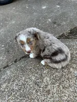 processed/86c3b0a0-8db5-44c2-bf33-7d8c20a88a03/listing/002dda96-f37f-429b-b604-32377f14f0cb/3053129d-3928-4de0-bb3e-dd18318ef9d8