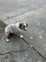 processed/86c3b0a0-8db5-44c2-bf33-7d8c20a88a03/listing/002dda96-f37f-429b-b604-32377f14f0cb/c2d8332c-17d7-4343-959c-d822a02cd187