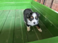 processed/86c3b0a0-8db5-44c2-bf33-7d8c20a88a03/listing/3e7b463e-e315-4a01-b0b5-c98e86aff125/29f0cc8a-8898-4f29-836d-2daca6d0bfd5