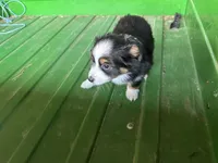 processed/86c3b0a0-8db5-44c2-bf33-7d8c20a88a03/listing/3e7b463e-e315-4a01-b0b5-c98e86aff125/b545deb2-0f90-4bbb-908e-fb25af30e4b6