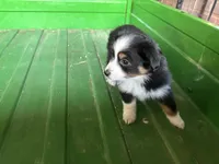 processed/86c3b0a0-8db5-44c2-bf33-7d8c20a88a03/listing/3e7b463e-e315-4a01-b0b5-c98e86aff125/b6d08ae0-4650-4ef5-8365-0c92dd2c9c5b