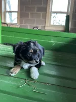 processed/86c3b0a0-8db5-44c2-bf33-7d8c20a88a03/listing/c39633e4-a39d-4697-8f02-426257f94794/13a30940-f71f-42a5-8e9f-7f2dc033e452