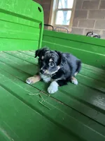 processed/86c3b0a0-8db5-44c2-bf33-7d8c20a88a03/listing/c39633e4-a39d-4697-8f02-426257f94794/17204263-5322-4ec2-8bf1-cf50b87d046e