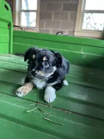 processed/86c3b0a0-8db5-44c2-bf33-7d8c20a88a03/listing/c39633e4-a39d-4697-8f02-426257f94794/ed702524-f47e-49d5-9fc2-5736df66f3c3