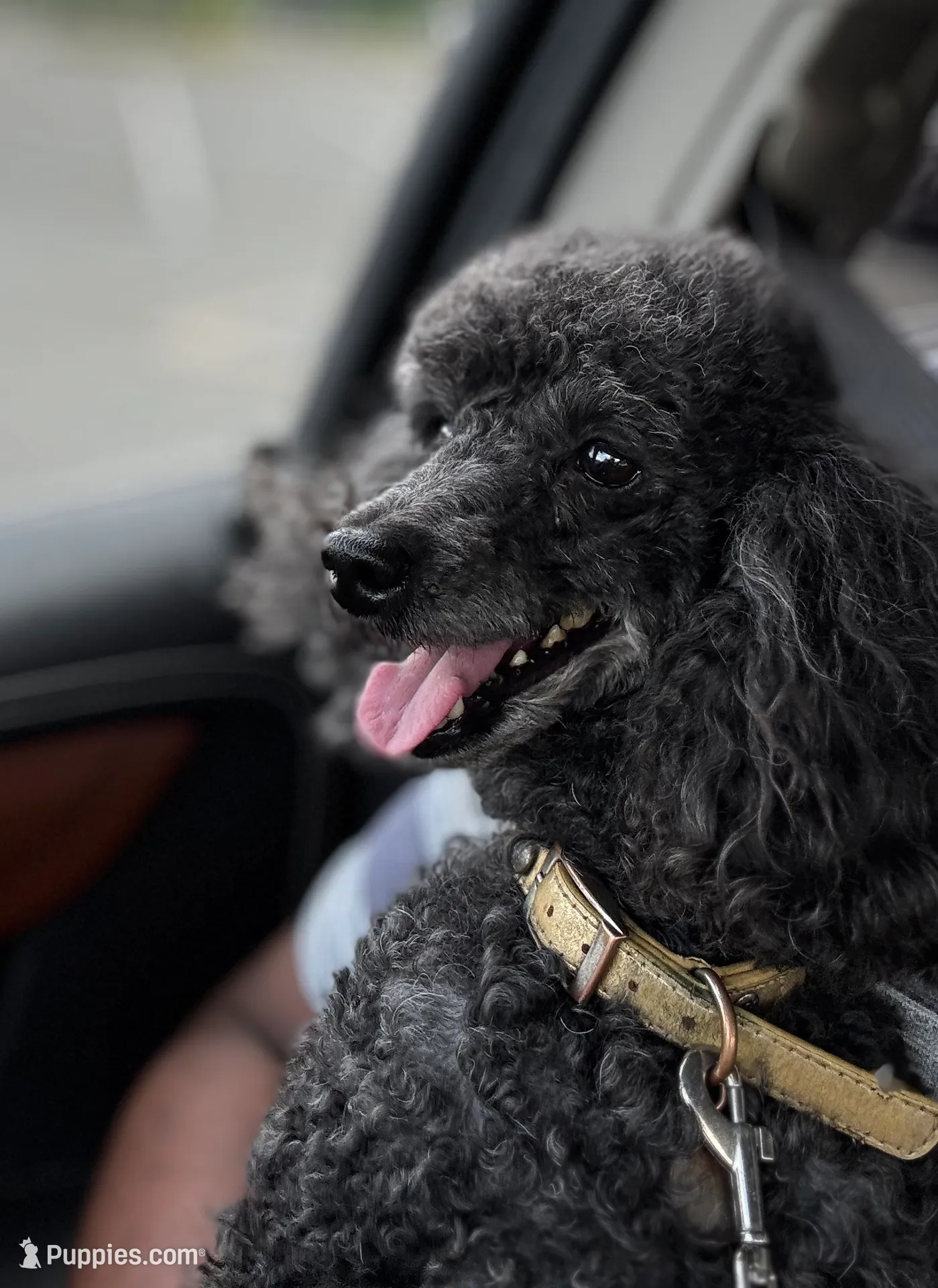 processed/86c61cb1-b522-4cf6-bd7c-4bcc539c26ff/facility/754a5587-51cd-41d6-a69e-9ef43fd5c519